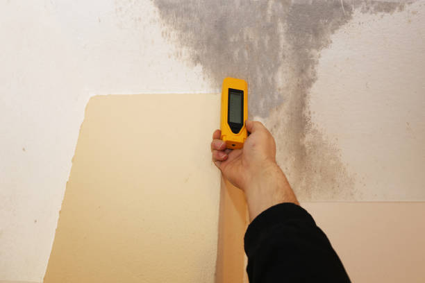 Best Post-Construction Mold Inspection  in Sandstone, MN