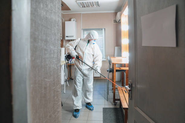 Best Mold Odor Removal Services  in Sandstone, MN
