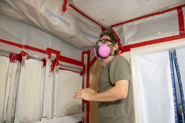 Best Biohazard Mold Removal  in Sandstone, MN