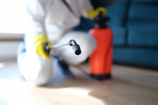 Best Real Estate Mold Inspection  in Sandstone, MN